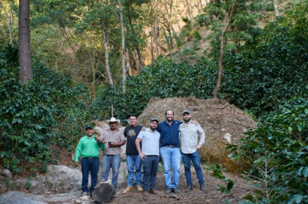 Honduras, Roger Dominguez Light Roast