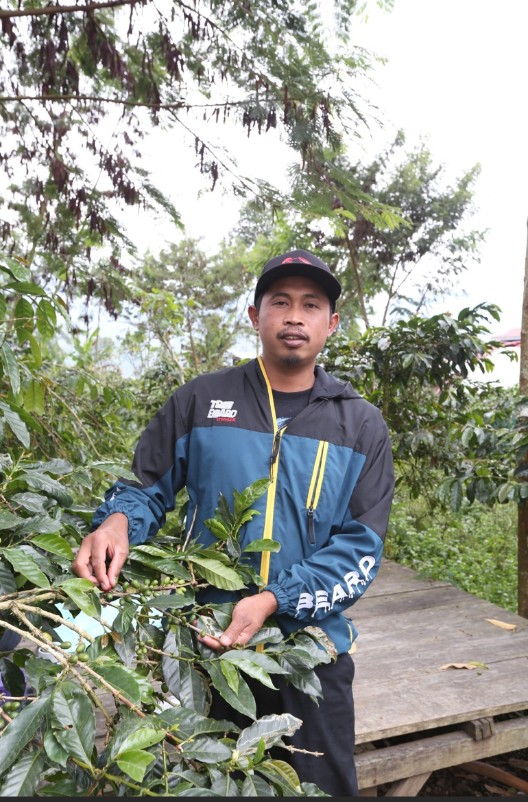 Indonesian, Irwanda, COE WINNER, Filter Roast